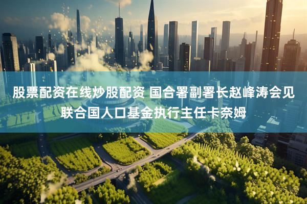 股票配资在线炒股配资 国合署副署长赵峰涛会见联合国人口基金执行主任卡奈姆
